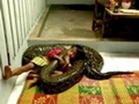 Kid Rides Giant Python