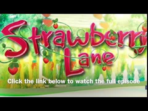 Strawberry Lane Full Episode - November 24