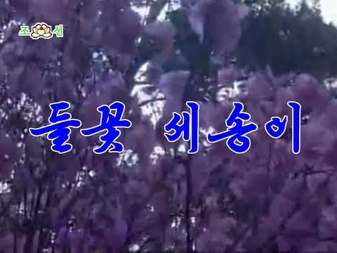[HQ] Three Wild Flowers (Pochonbo Electronic Ensemble) (DPRK Music)