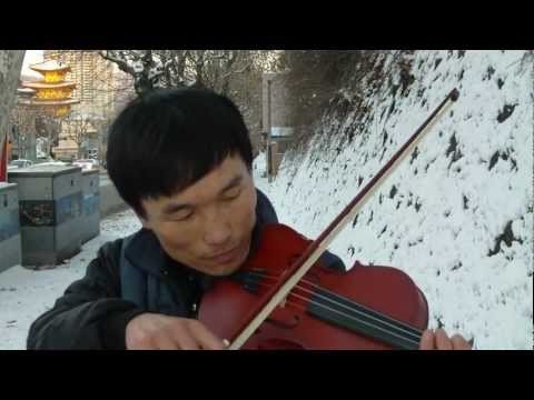 talking about everything (instruments) (violin) in cheongju