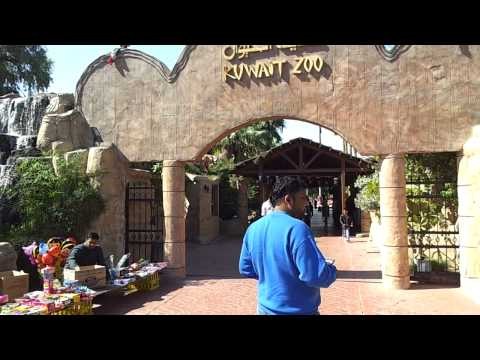 IPC day out at Kuwait Zoo 144