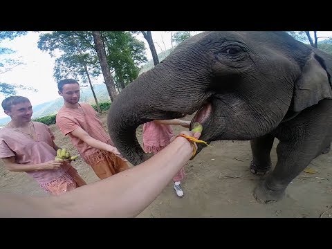 Why Southeast Asia? That's why. (Backpacking GoPro)