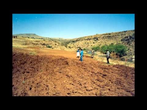 Vegetable projects in Lesotho2wlmp