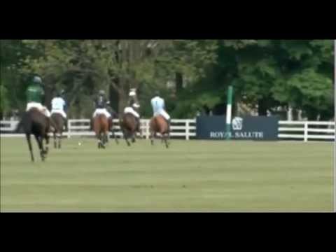 Harry plays polo to round off US tour (VIDEO)