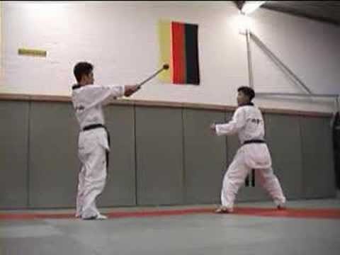 WTF Taekwondo Demo Clips