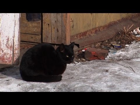 Europe's cold spell threatens Lithuanian homeless