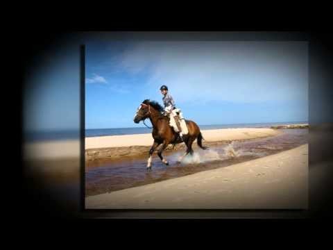White sand beaches: Equestrian vacations with AdventureRide