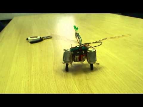 Primitive robot