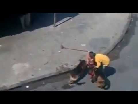 Guy getting attacked by 2 dogs [Morocco/barnoussi]