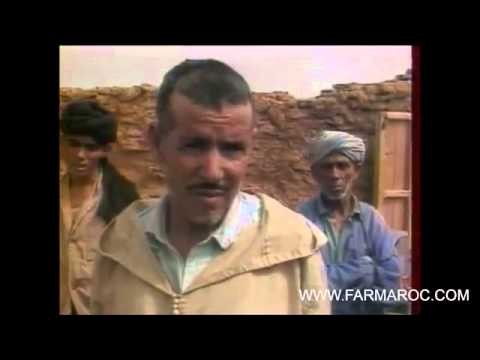 FARMAROC   Sahara marocain   La ceinture de sÃ©curitÃ©