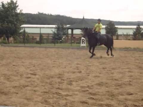 Onur Kalfa - 31.07.2013 - Training with horse
