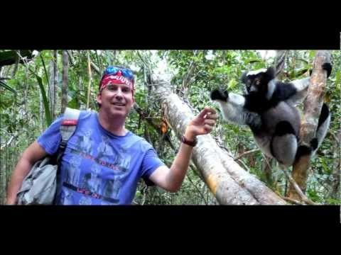 Maki in Madagascar