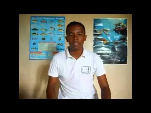 C3 Madagascar - Incentivizing communities to protect their marine resources
