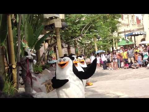 Madagascar Show Singapore Universal