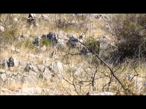 Caccia alle starne selvatiche e alle coturnici in Macedonia Puntata 2