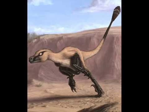 Dinosaurs Of Mongolia