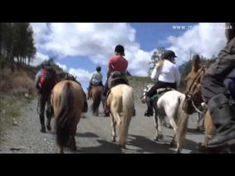 Mongolia Horseback Riding Tours And Horse Riding Holidays In Mongolia