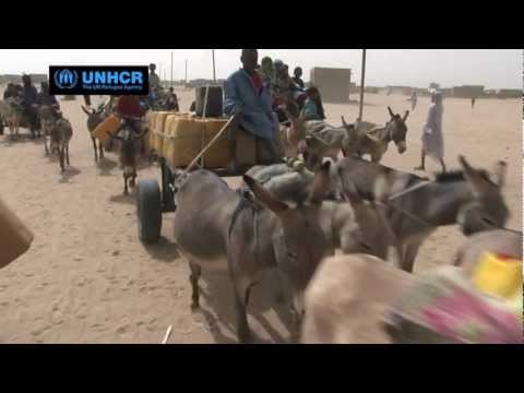 Mauritania : Convoy to Safety