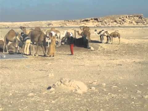 Desert Bedouins behind Nouadhibou, Cape Blanc, Mauritania