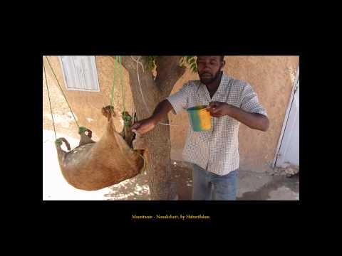 2013 Mauritanie  Nouakchott