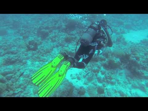 Scuba diving in Mauritius