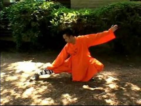 Shaolin Kung Fu Techniques : Learn Shaolin Kung Fu Stances