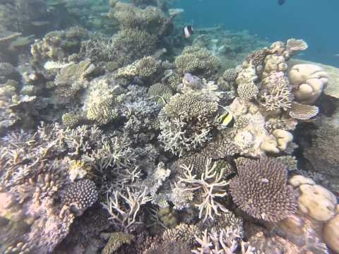 Go Pro - Snorkeling - Maayafushi - Maldives 2013