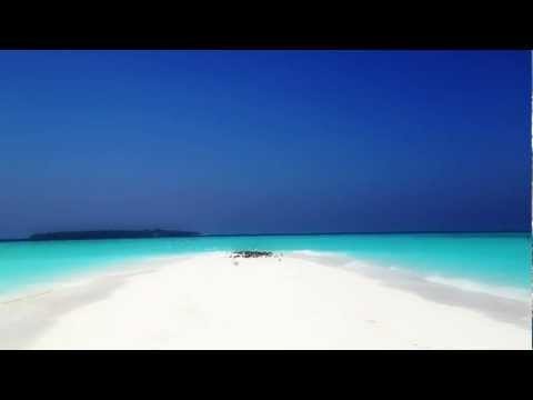 Birds at the sandbank - Dusit Thani Maldives