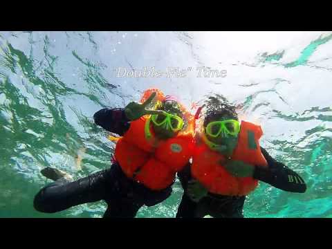 maldives snorkeling