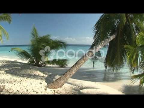 Pond5 Stock Footage - Remote Beach with Palm Trees