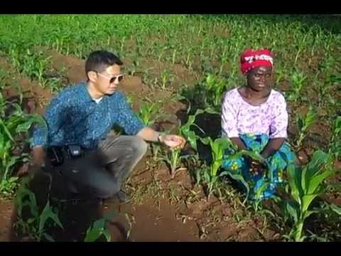 Composting Success in Malawi