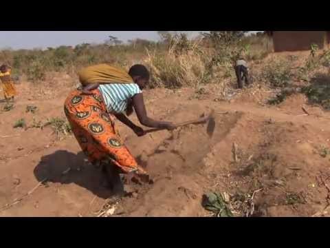 Hunger in Malawi: a mother appeals for support