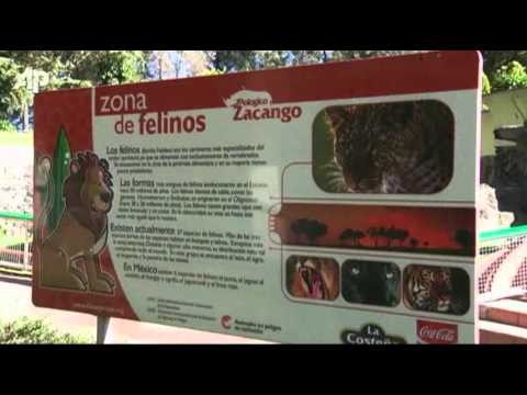 Narco-pets Overwhelm Mexico's Zoos