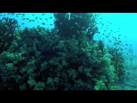 Dive Azura at Benguerra Island