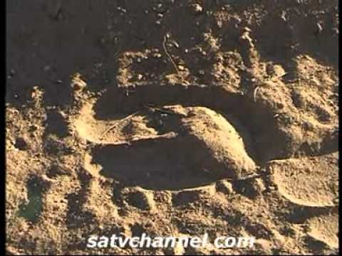 Wild about Namibia: Episode 4: SATV Travel