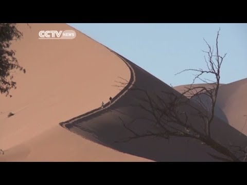 The World's Oldest Desert in Namibia
