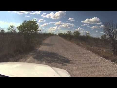 Drive in Etosha National Park
