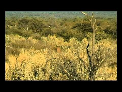 SÃ©jour Safari en Namibie