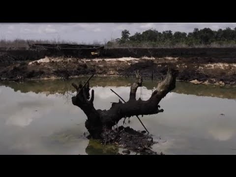 UN confirms massive oil pollution in Niger Delta