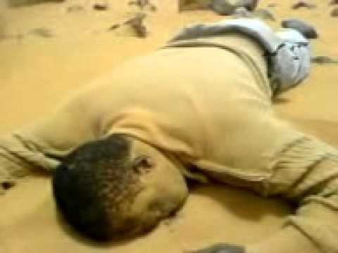 Niger - Libya - Sahara. The exiled and killed.