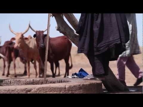 Waynaabe: scÃ¨nes uit het leven van de Wodaabe-veehouders