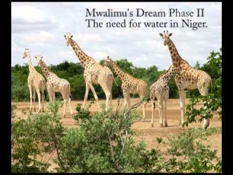 Mwalimu's Dream Niger