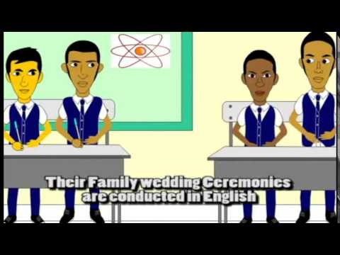 YNS English Exam (Animation)