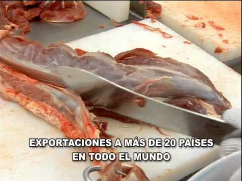 Nuevo Carnic in Nicaragua- Exporting Worldwide- Ad/Spot Publicitario