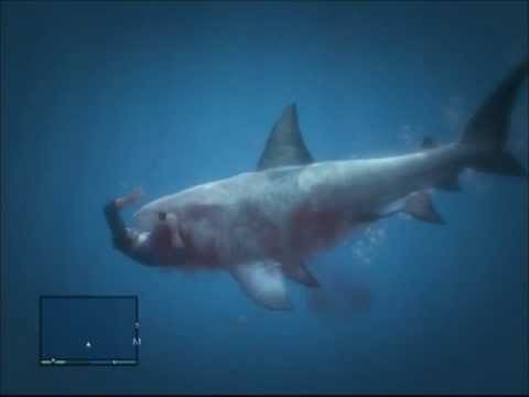 GTA 5 find a shark