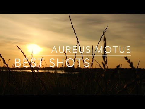 Aureus Motus: Best Shots [HD]