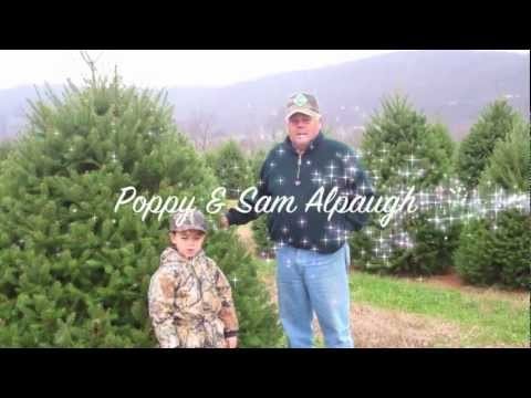 Poppy & Sam - Christmas Tree Farmers at Evergreen Valley -  My Favorite Chr