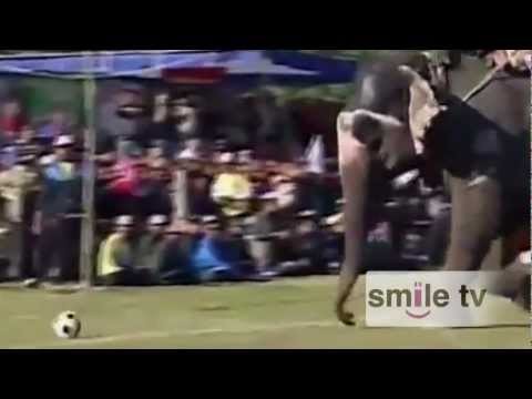 Smile Minute 33 - Elephant Soccer Game in Nepal