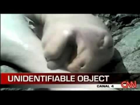 Mystery Creature Dead in Panama - Alien or ?