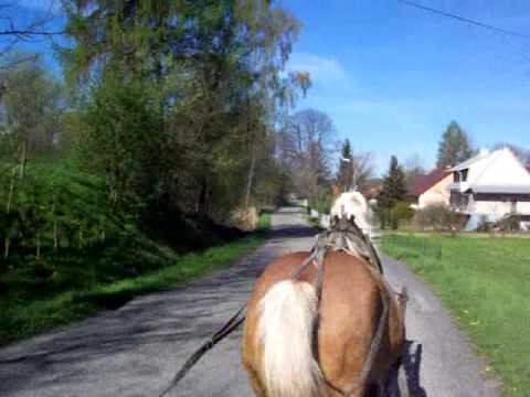 Horse Pulled Wagon in Poland in the Beautiful Village Countryside
